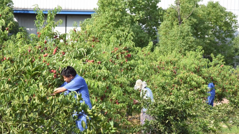 2023.6.2-1 2023.6.2-1