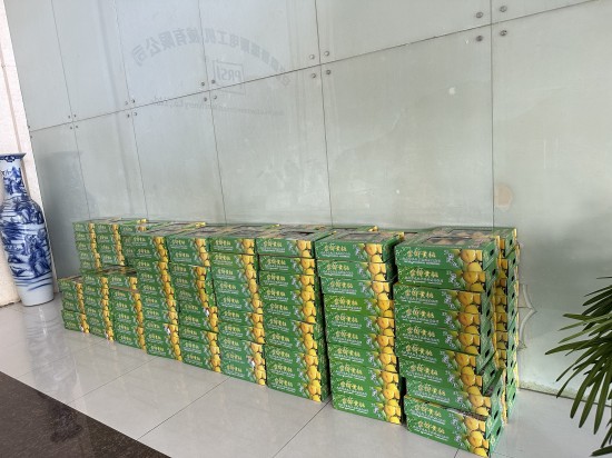 2024.8.2-1 2024.8.2-1