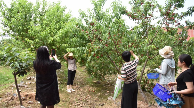 2023.6.2-2 2023.6.2-2