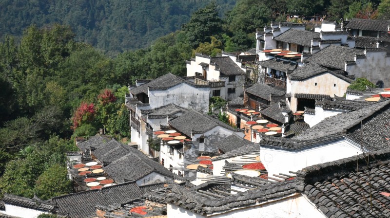 2023.10.18-7 2023.10.18-7