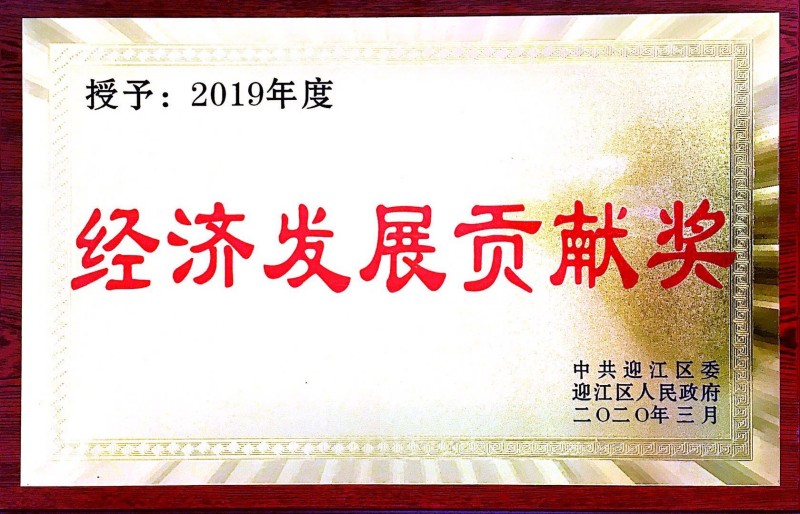 公司荣获“迎江区2019年度经济社会发展贡献奖”