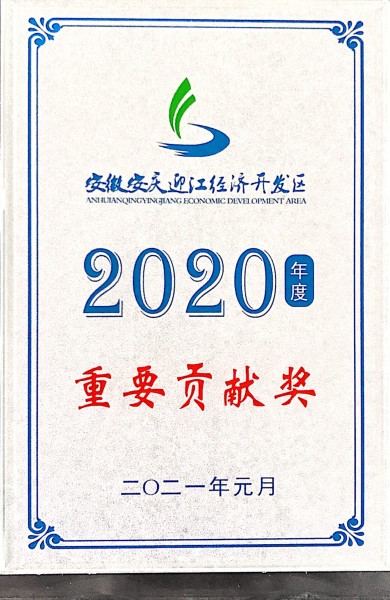 2020年度重要贡献奖