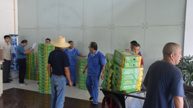 清凉活动解夏暑 甜蜜黄桃溢馨香